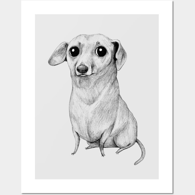 Monochrome Dachshund Wall Art by Sophie Corrigan